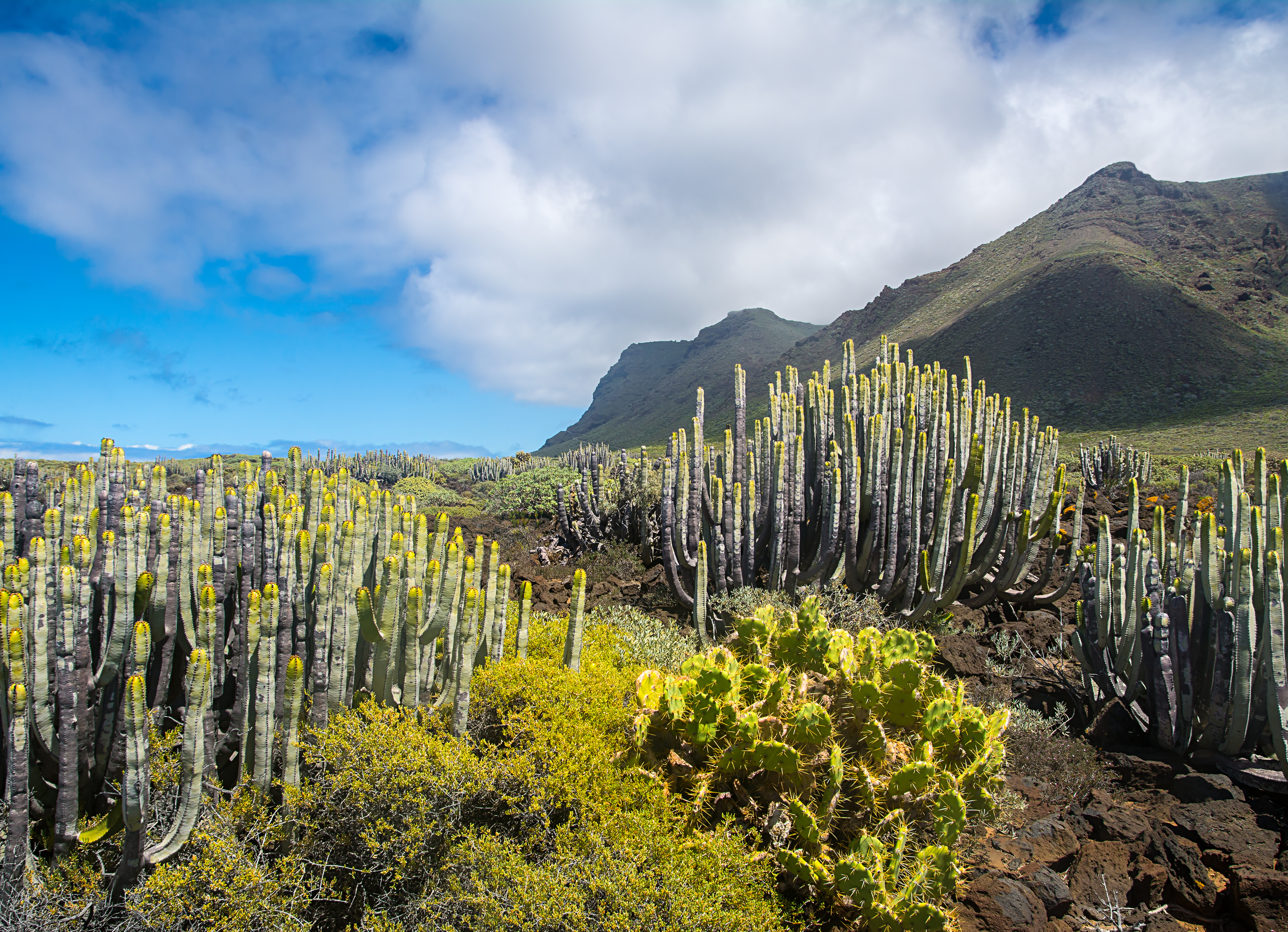 bigstock–214861414