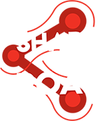 SHARE THE ROAD Logo